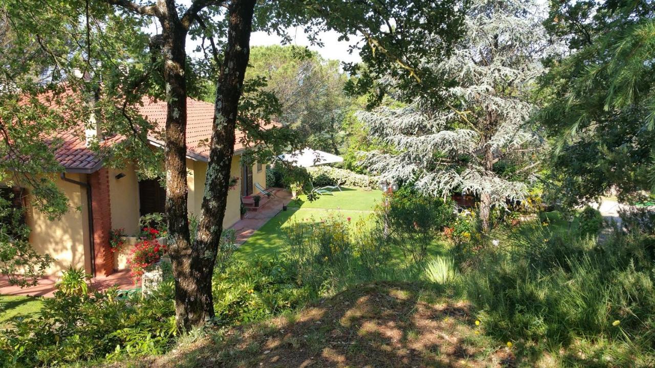 Villaspino Capolona Exterior photo