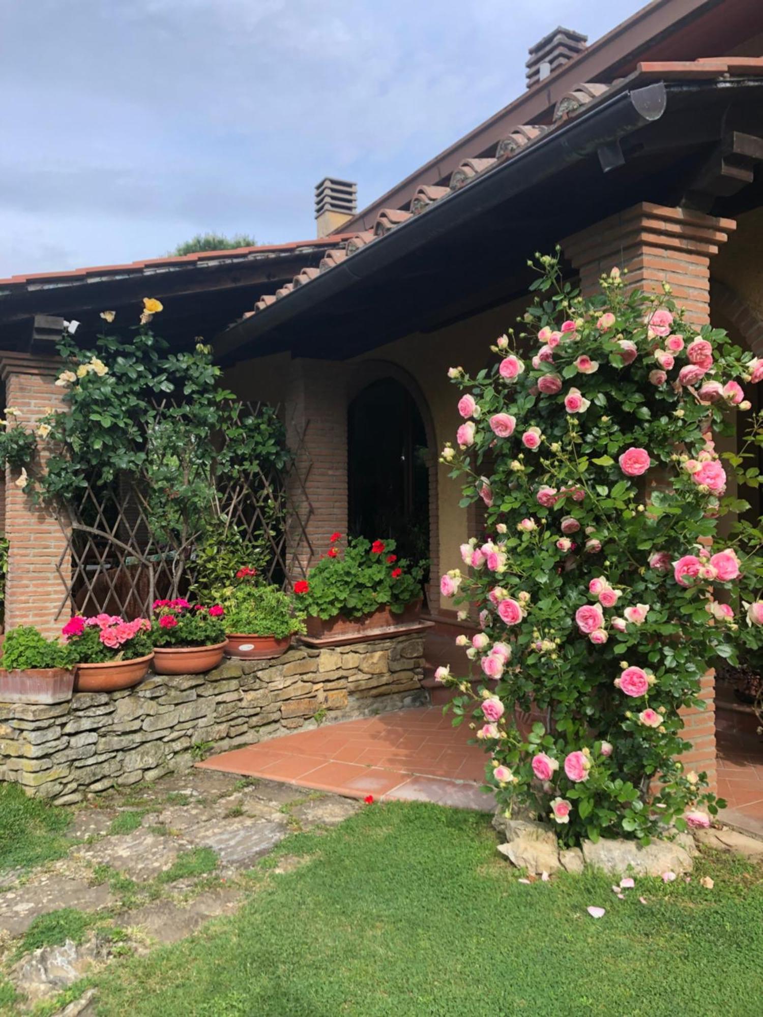 Villaspino Capolona Exterior photo